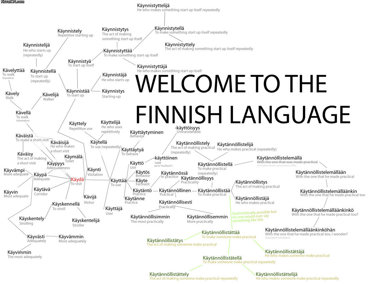 Finnish Language